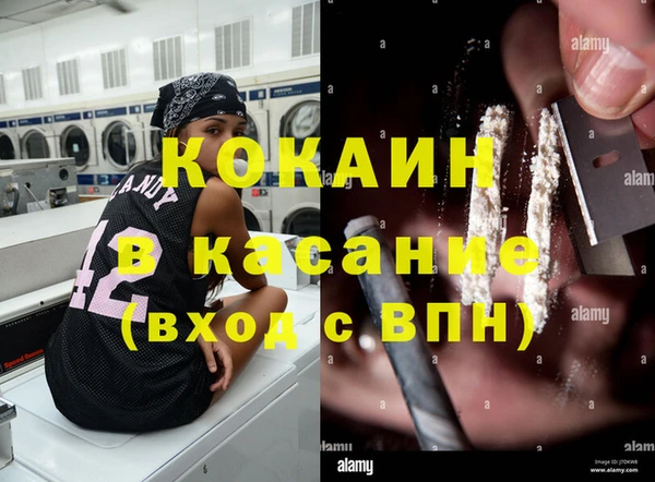сатива Аркадак
