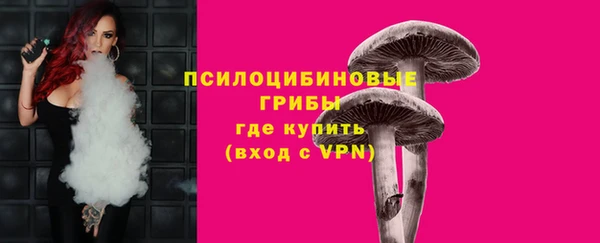 сатива Аркадак