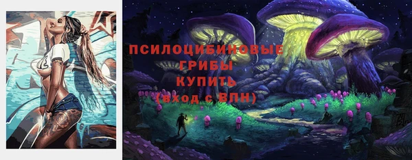 ПСИЛОЦИБИНОВЫЕ ГРИБЫ Армянск