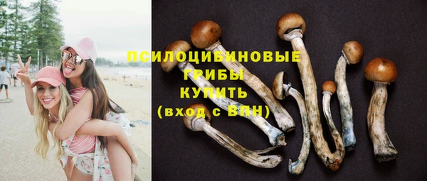 ПСИЛОЦИБИНОВЫЕ ГРИБЫ Армянск