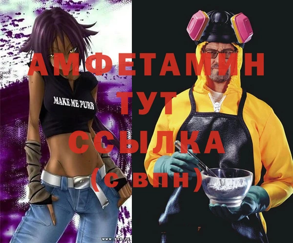 сатива Аркадак