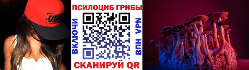 где можно купить наркотик гидра маркетплейс Псилоцибиновые грибы Psilocybine cubensis Прохладный